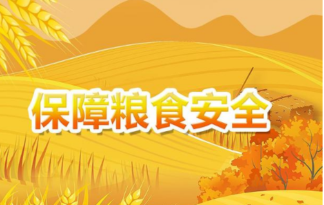 特级丰满少妇一级AAAA爱毛片